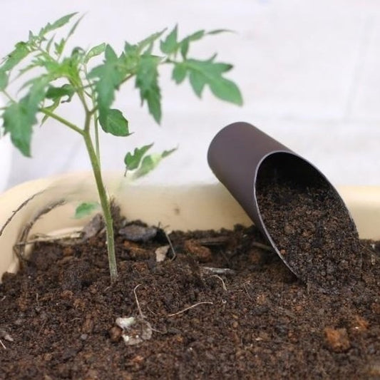 Plastic Bucket Shovel Barrel Shovel Succulent Planting Soil Shovel